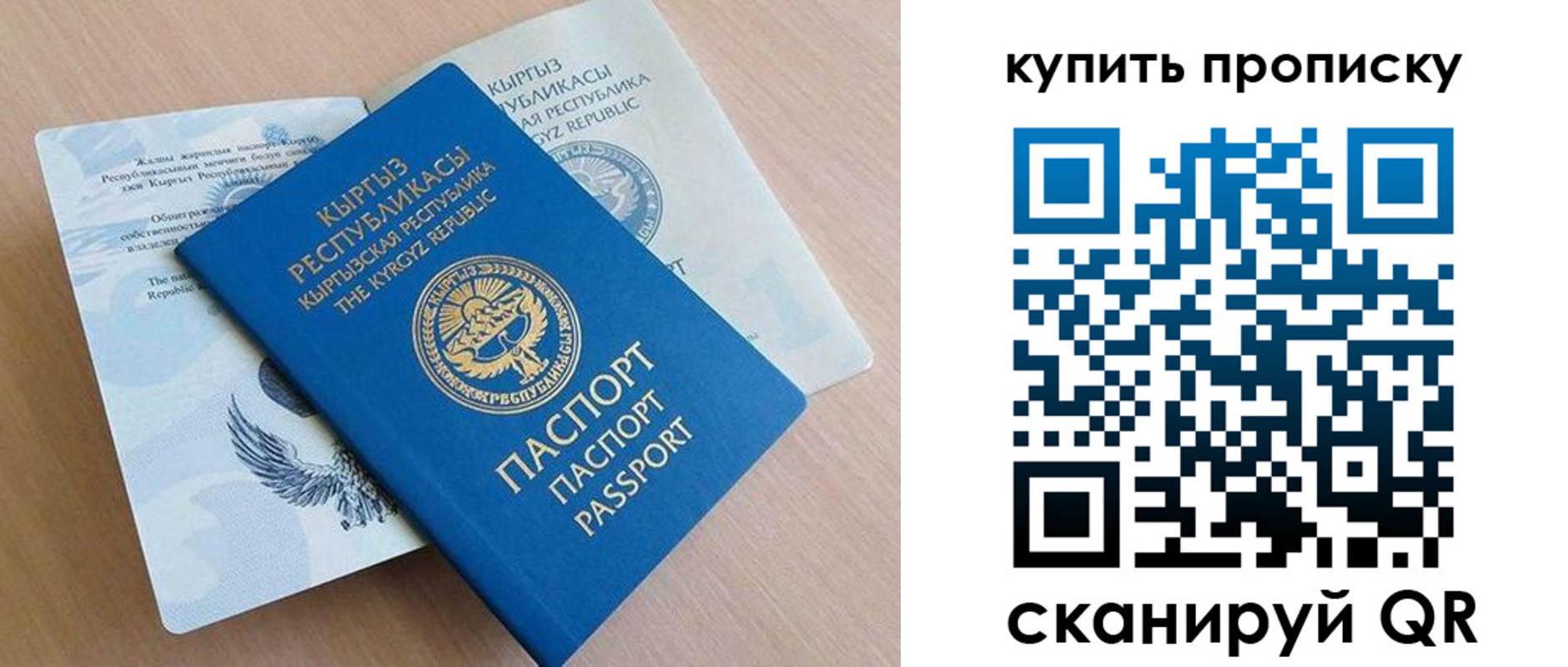 временная регистрация поиск в Псковской области